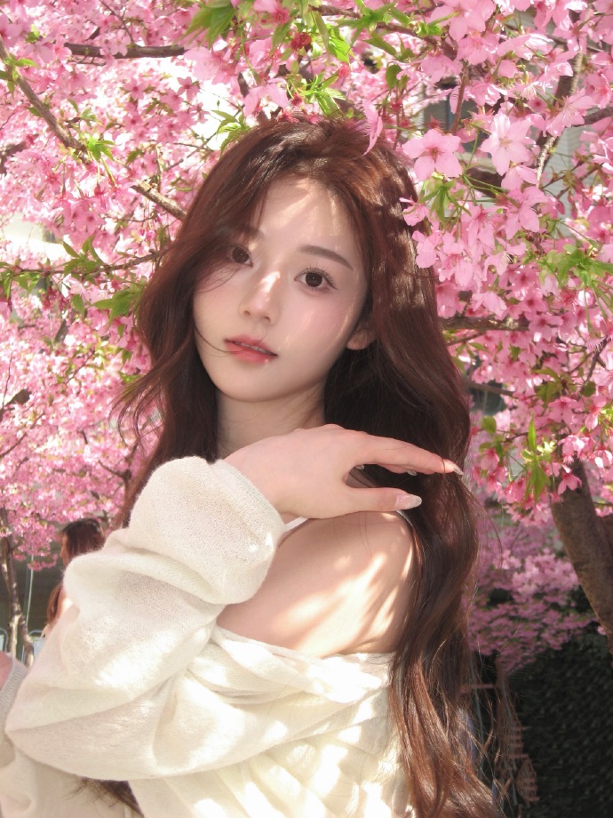 和Schema结构化数据的配合